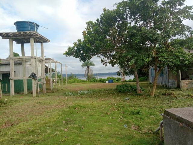 Amazonas, Indigene und die Landwirtschaft im politisch neu aufgestellten Brasilien. Bericht von einer März-Reise ins Amazonasgebiet